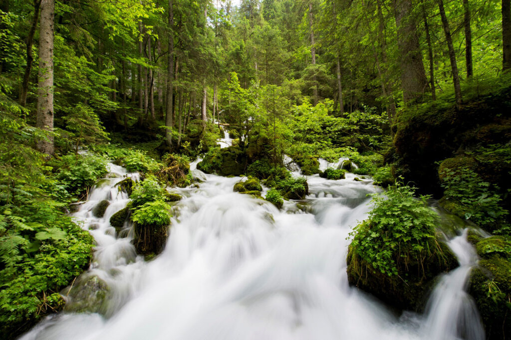 Wasserquelle kläfferquelle © Wiener Wasser, Novotny